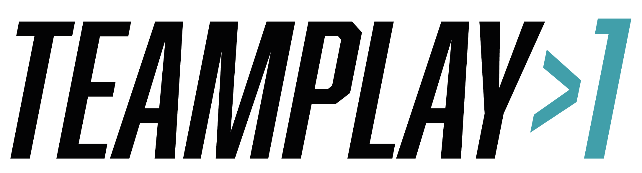 Teamplay1_Logo_transparent-11.png